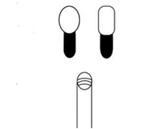 Elektrody do koagulacji do endoskopów giętkich Alton A1810EK