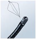 ED-530XT8