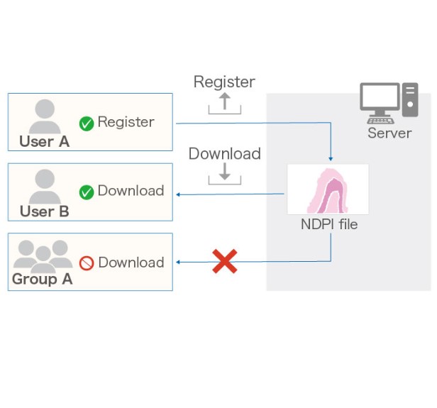 NZConnect