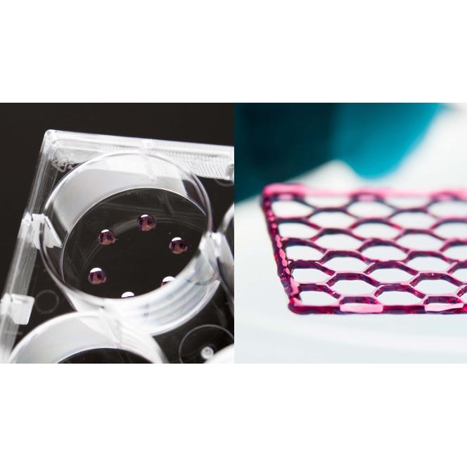 Biodrukarki 3D BIO ONE CELLINK