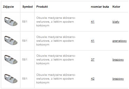Obuwie medyczne wielorazowe Pofam-Jedność 581