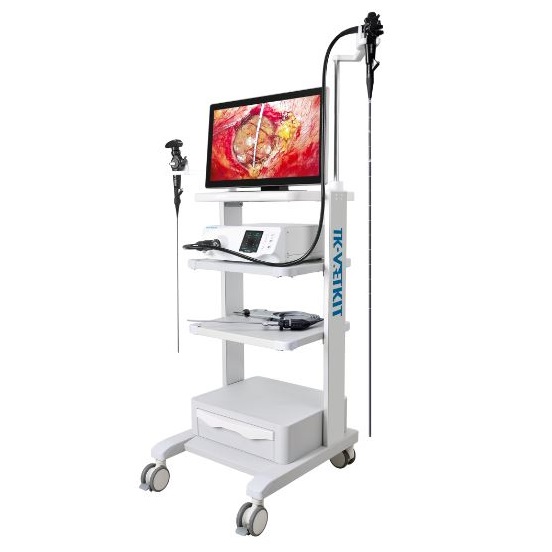 Videogastroskopy weterynaryjne