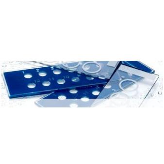 Testy autoimmunologiczne