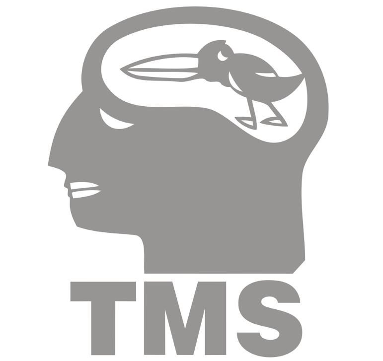 TMS Sp. z o.o.